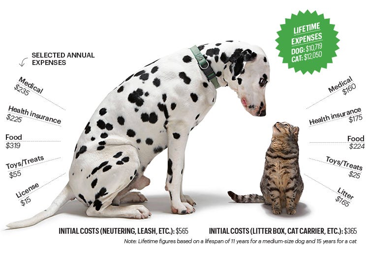 How Much Should You Spend to Save a Sick Pet? How Much Should You Spend to Save a Sick Pet?