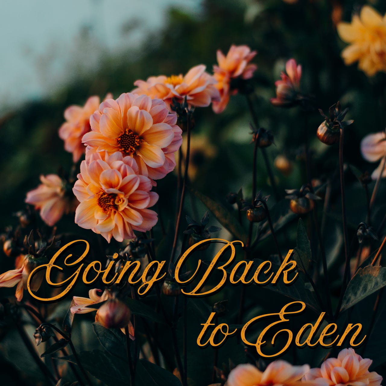 Going Back to Eden logo