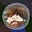 Brandon Boyer's avatar