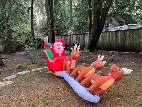 Photos of holiday decorations and farm animals