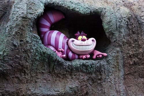 Cheshire Cat Cheshire Cat