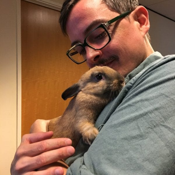 robert berens bunny movie tv tech geeks robert berens bunny movie tv tech geeks