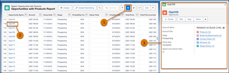 Record preview option in Lightning reports Record preview option in Lightning reports