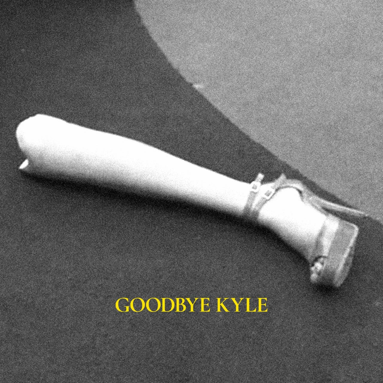 Goodbye Kyle