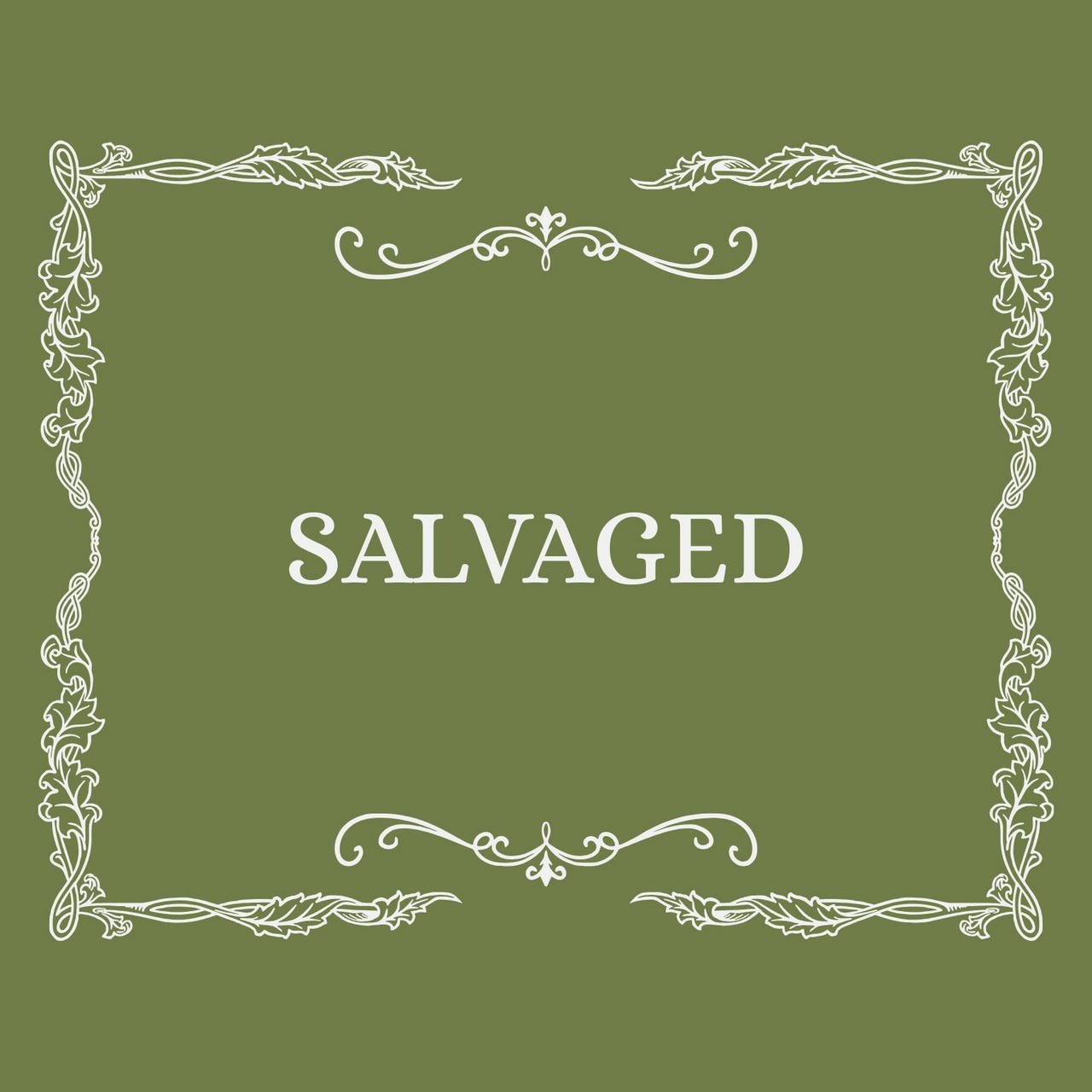 Substack profile picture for @salvaged