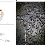 Anthropology.net
