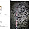 Anthropology.net