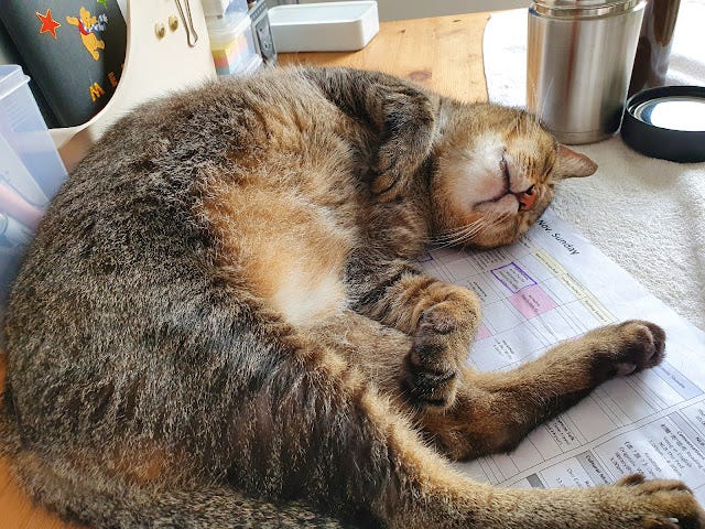 7 things I tried while unemployed in 2022