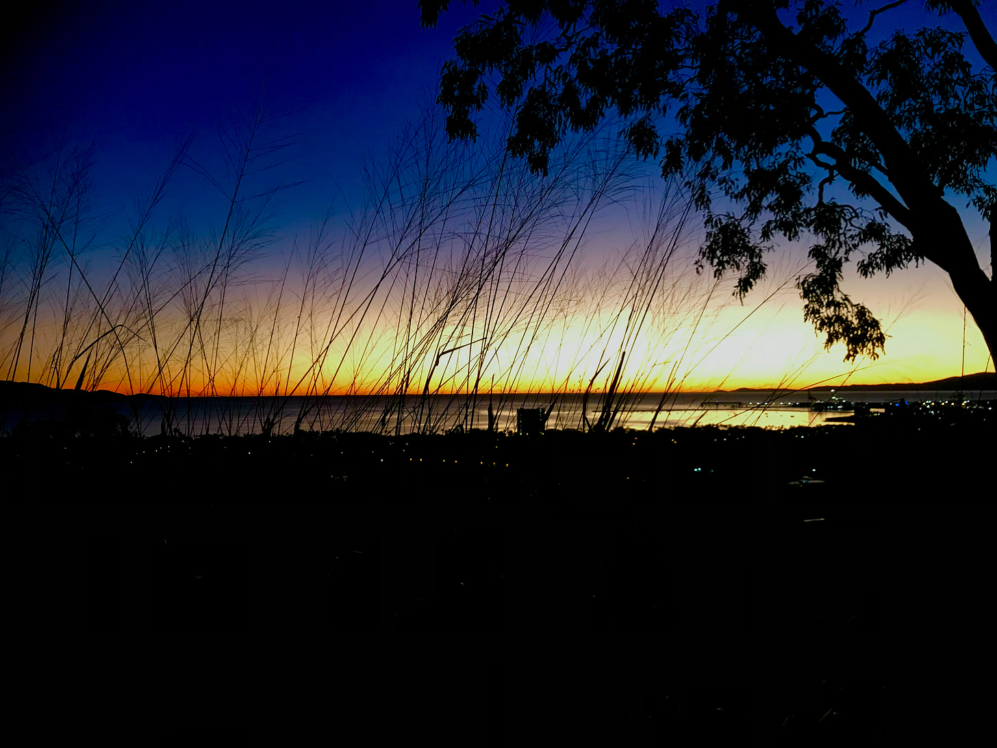 sunrise over the ocean from the hill in Townsville. There is a tree in the right (I don't know what kind) and some grass contrasted against the sky.