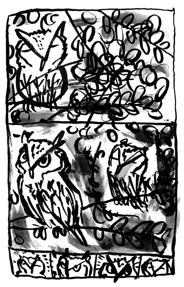 a drawing of owls