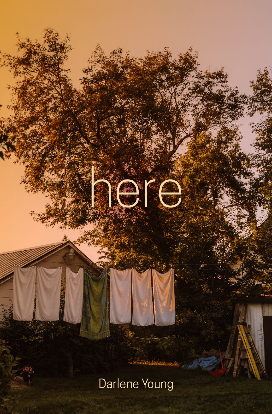 Cover of BCC Press's "Here", a book of poetry by Darlene Young. The cover features a slightly enhanced photo of a backyard in a working class neighborhood, at sunset. There is a clothesline draped in bed sheets, there, under a majestic tree.