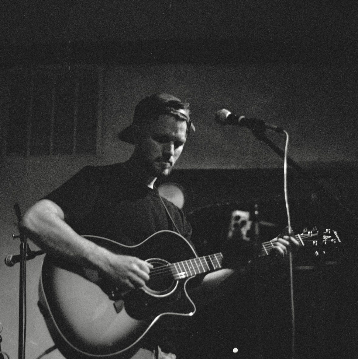 The Tender Lion Phase