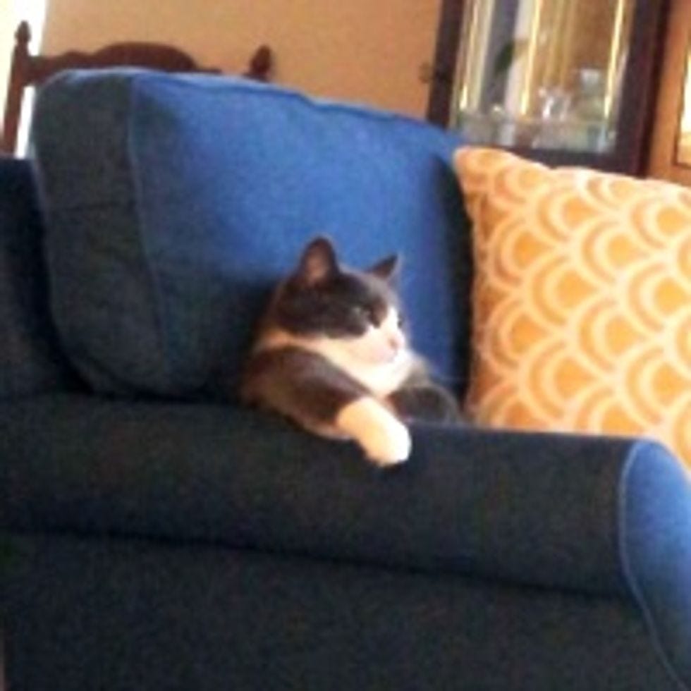 Dataísmo #30 - Entre news e fake news, image size:980x980