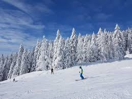 Zakopane Ski Resorts: Experience the ...