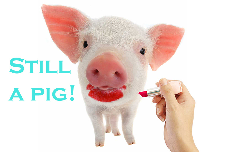 a dressed up US economy does not negate its bloated pig like status