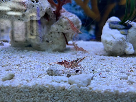 Aquaria KLCC