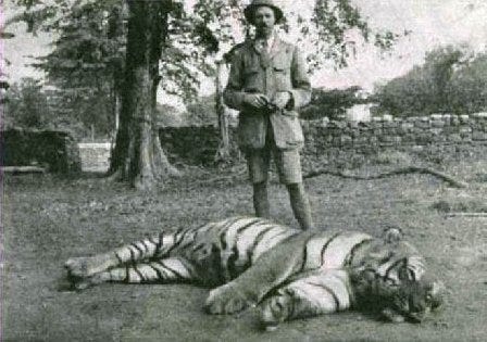Why did it take so long to kill the Champawat Tiger? - Quora Why did it take so long to kill the Champawat Tiger? - Quora