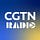X avatar for @CGTNRadio