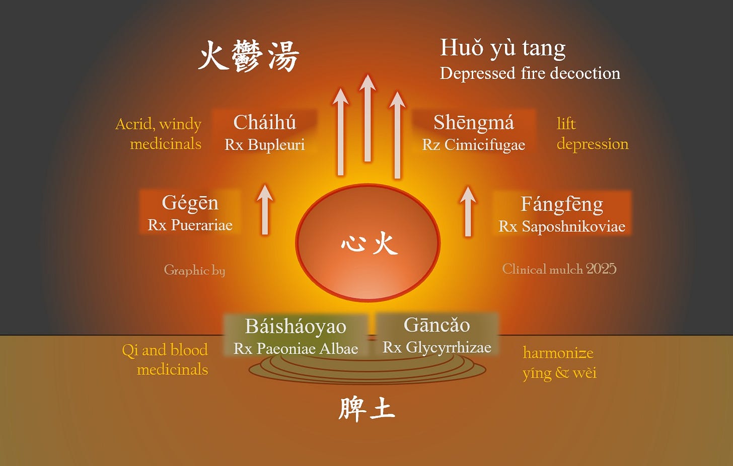 Graphic showing the herbs and their actions as found in the formula "Depressed Fire Decoction". All of the actions are described in the article text. The image depicts a fiery ball, labeled Heart Fire in Chinese, being lifted out of the earth, with upward arrows showing the energetic direction of the formula.