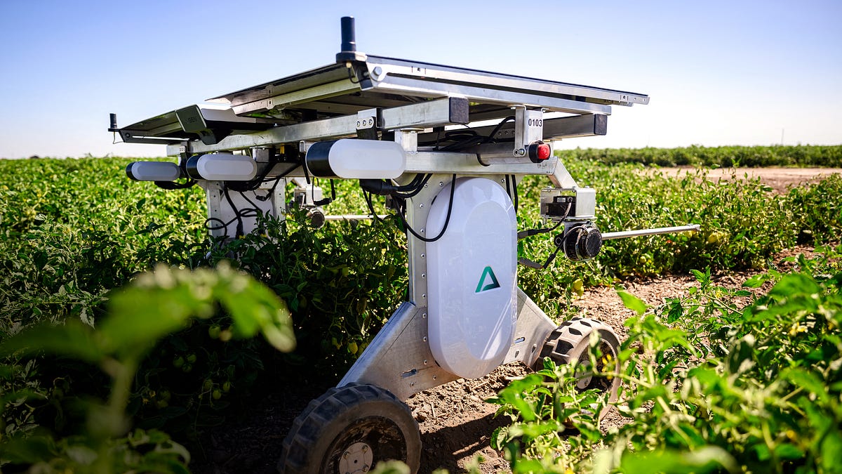 More With Less: Why Farmers Are Turning to Robots and AI