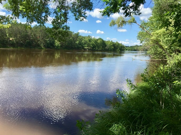 A river with trees and bushes

Description automatically generated