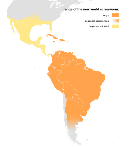 Range of the New World screwworm 2025. Creative Commons