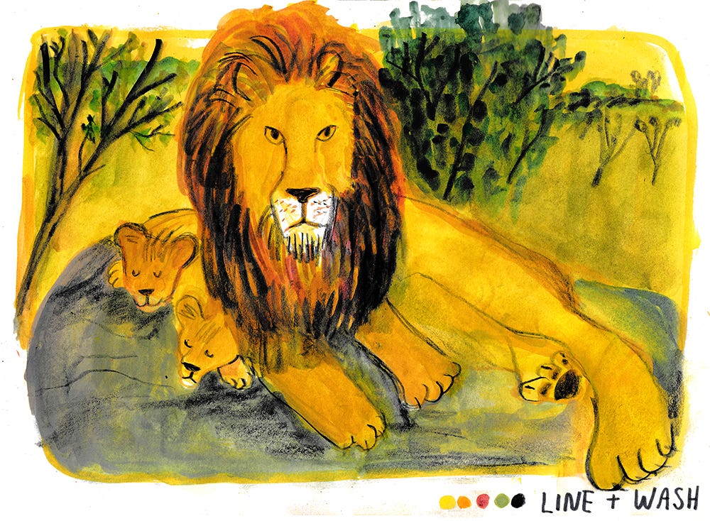 lion illustration by beth spencer