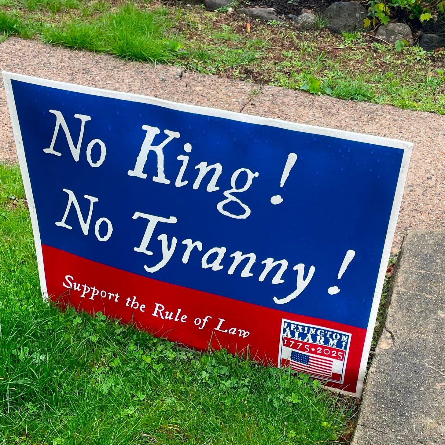No Kings, No Tyranny yard sign.