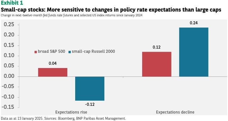 The outlook for US small caps in 2025 - BNPP AM USA institutional investor