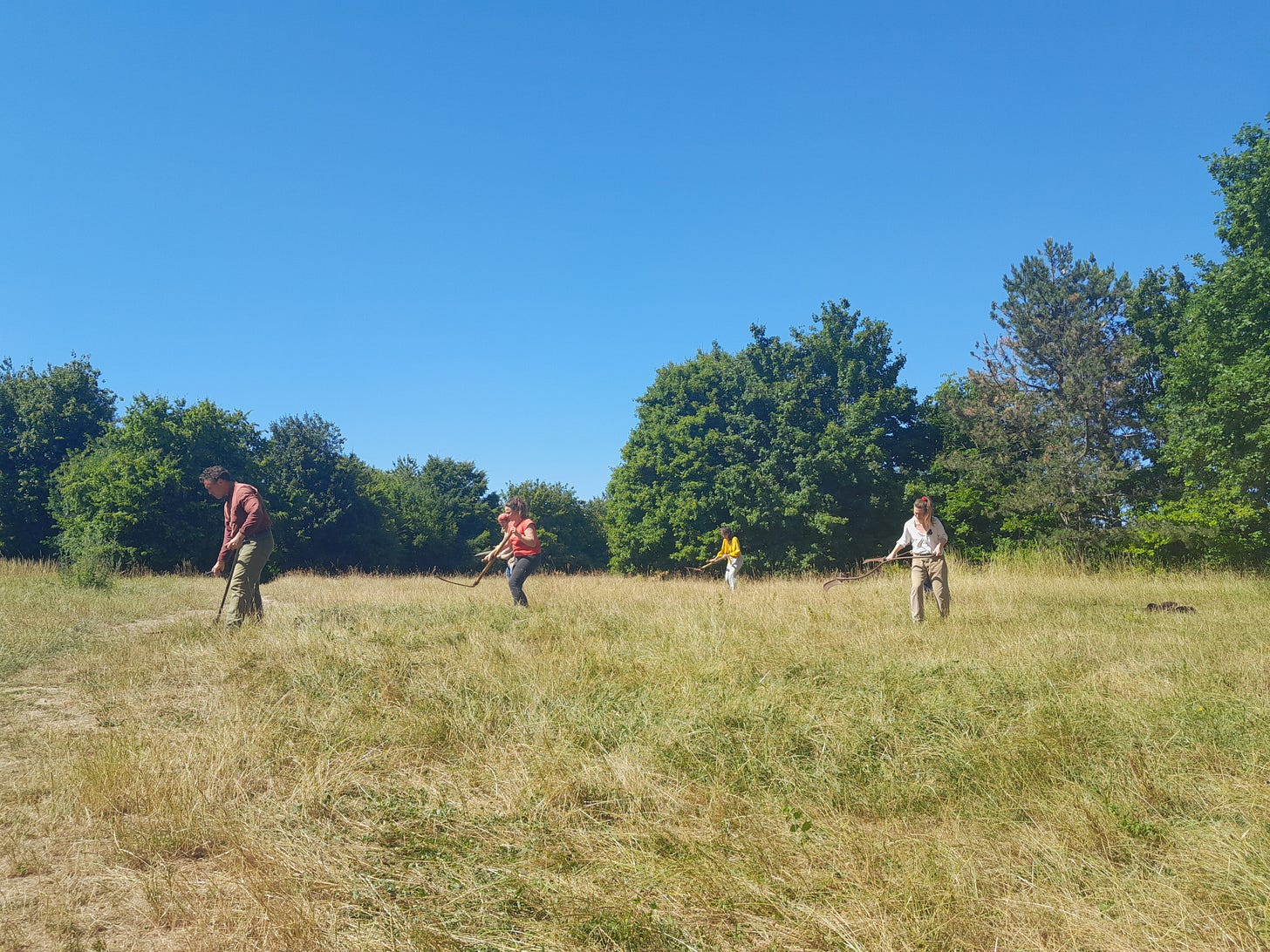 Acteurs qui fauchent dans un champ