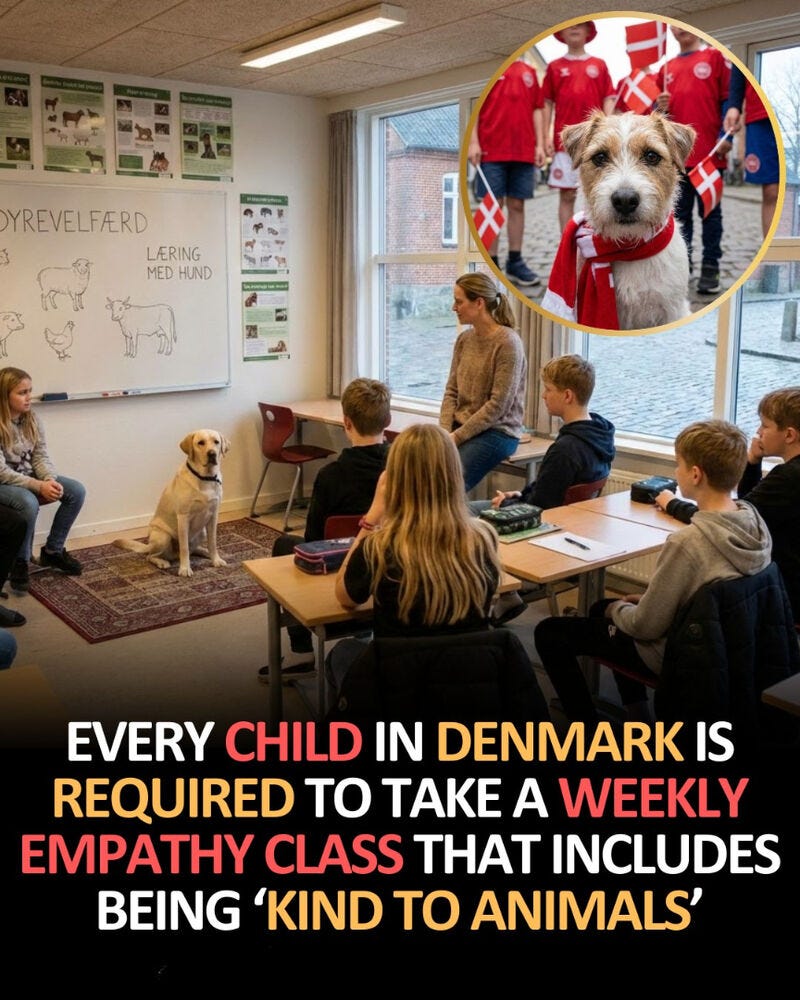 No alternative text description for this image