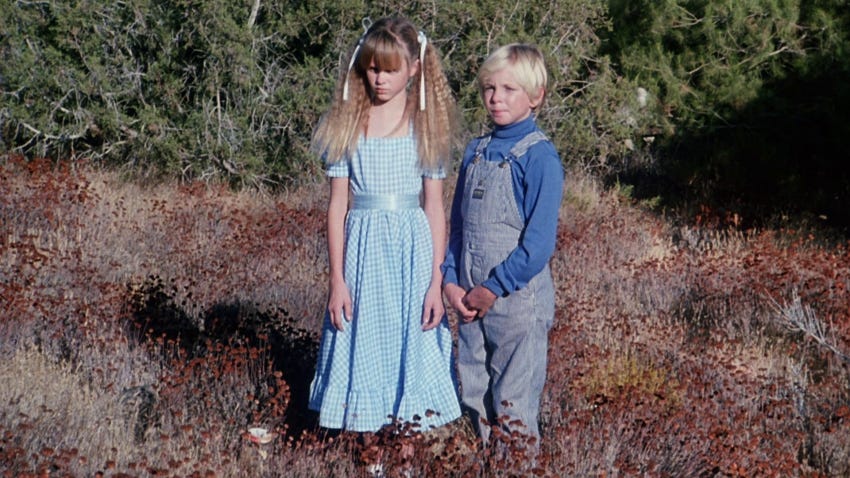 The Forest (1982) - IMDb The Forest (1982) - IMDb