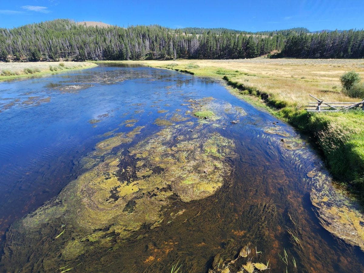 Legislature advances bills loosening water quality standards