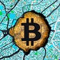 Henrique Kopke's avatar
