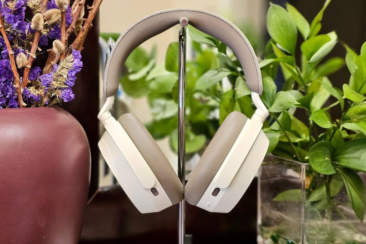 Sennheiser Momentum 5 Wireless on a headphone stand. Sennheiser Momentum 5 Wireless on a headphone stand.