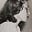 cat's avatar