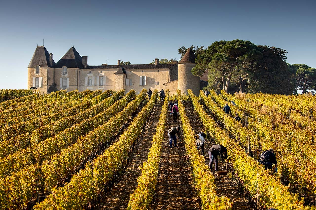 Château d'Yquem, Sauternes – Wine Source Group