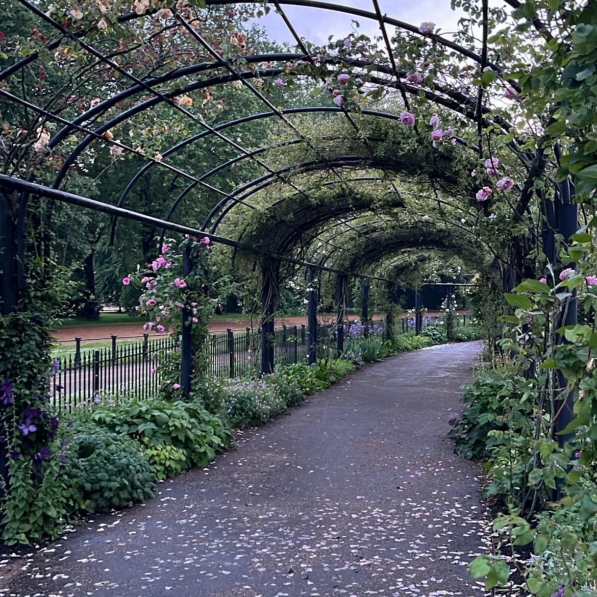 Musings of the Sojourner