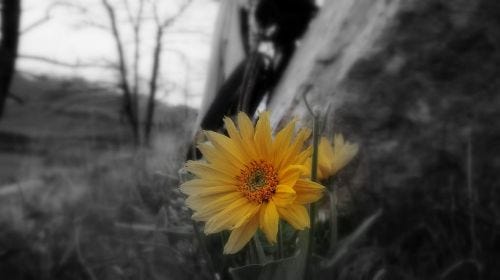 Focusing on Color