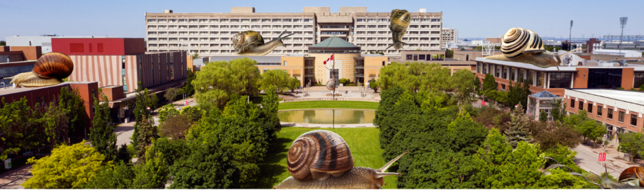 A snail on a stone surface in front of a building

AI-generated content may be incorrect.