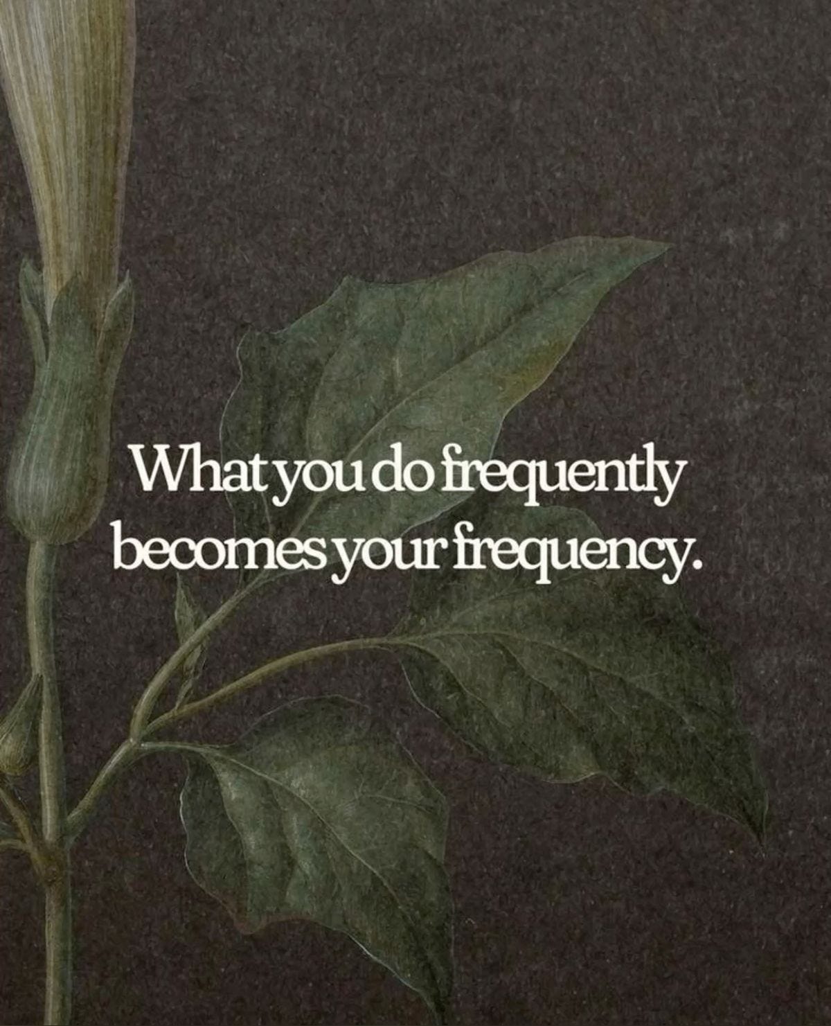 What you do frequently becomes your frequency meme with a plant What you do frequently becomes your frequency meme with a plant
