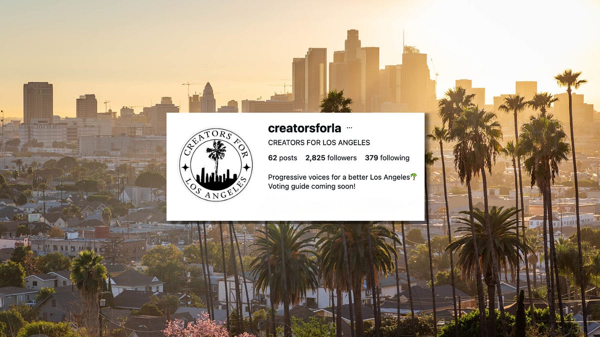 The Influencer Industrial Complex is Warping Local Politics