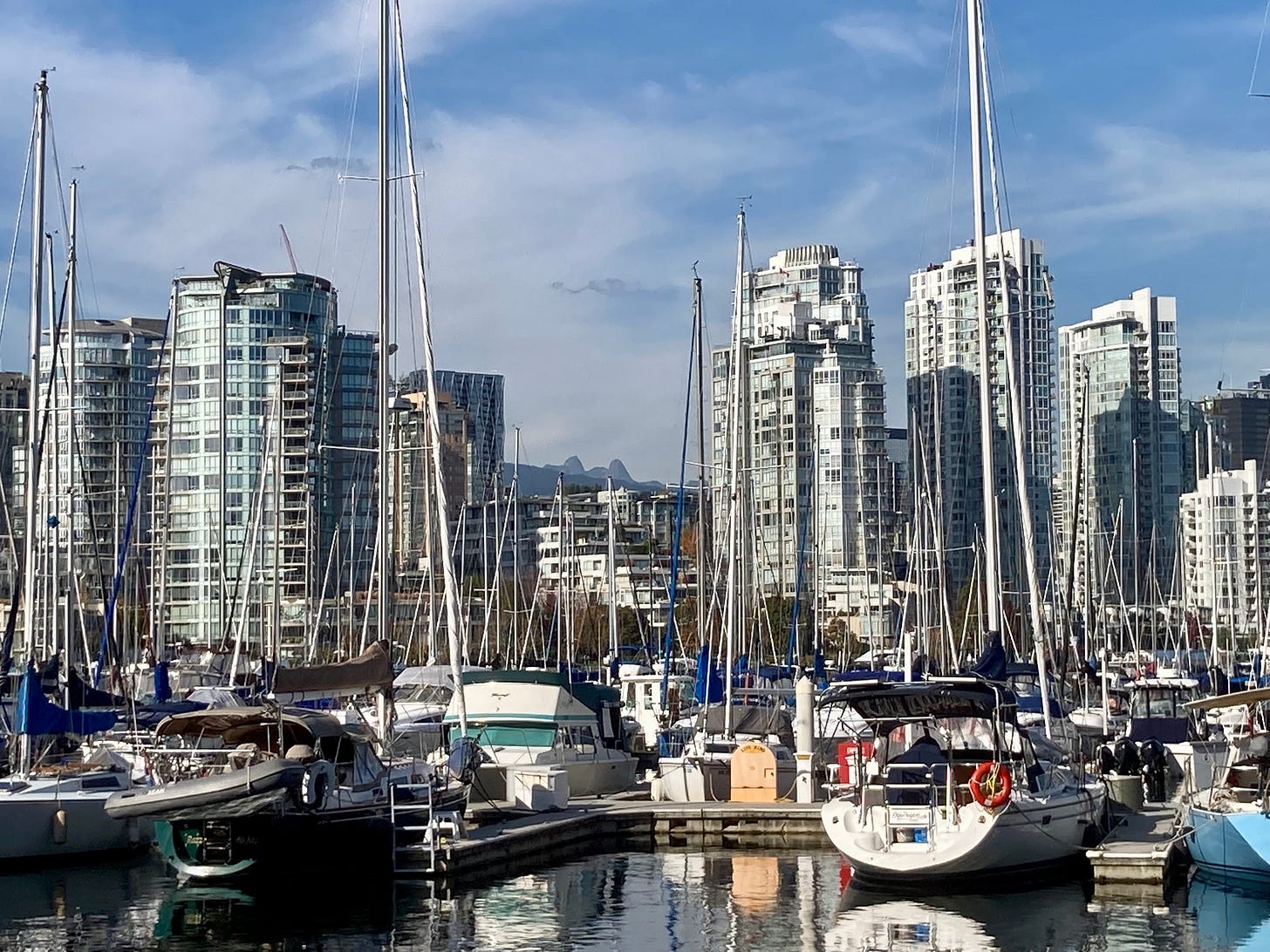 Heather Bay view cone