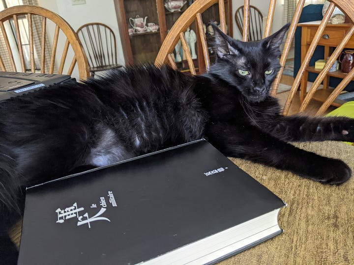 The picture on the left is of a black cat (Fiona) on a table. The other photo is of Flame, an orange cat. In this photo his mouth is open in a meow.