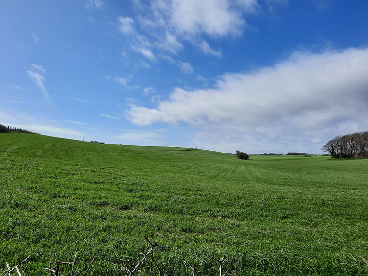 Images of fields, mountain lake, and ocean cliffs