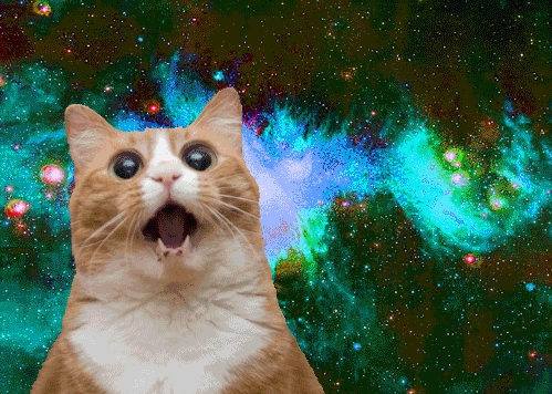 https://media.giphy.com/media/paMVbhw7bnZLi/giphy.gif https://media.giphy.com/media/paMVbhw7bnZLi/giphy.gif