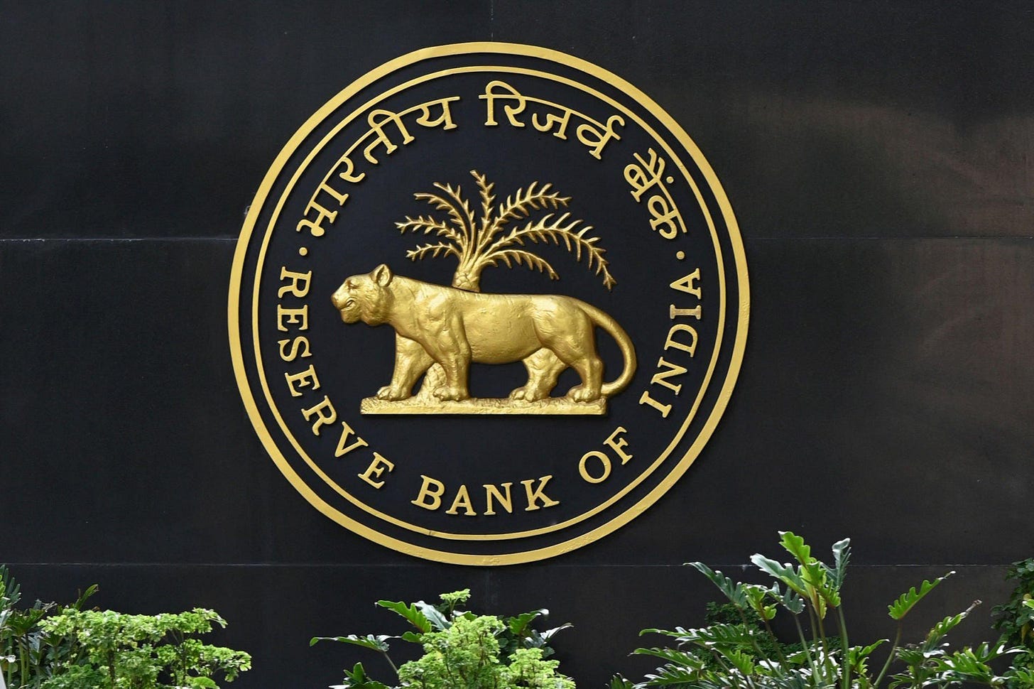 Interlinking of India's UPI and EU's TIPS on anvil: RBI