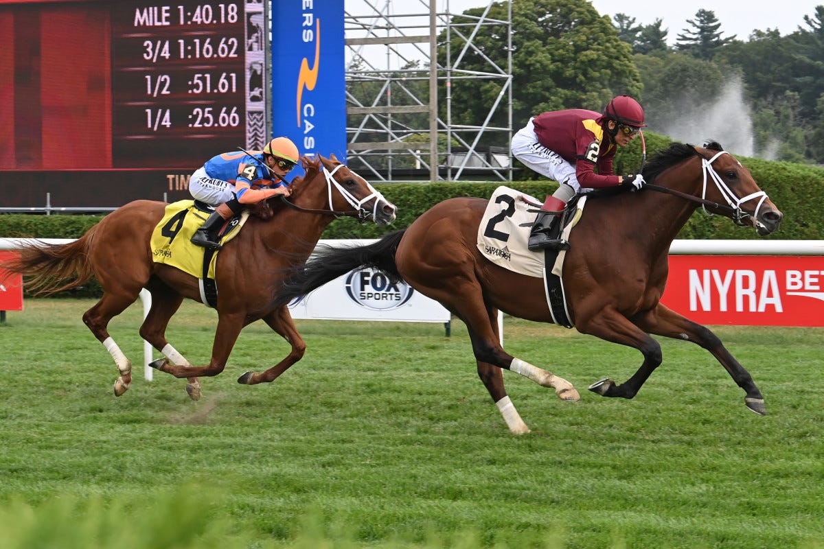 Jockey John Velazquez Receives Three-Day Suspension For 'Careless Riding' - Paulick Report | Latest news and commentary from the horse racing and equine world Jockey John Velazquez Receives Three-Day Suspension For 'Careless Riding' - Paulick Report | Latest news and commentary from the horse racing and equine world