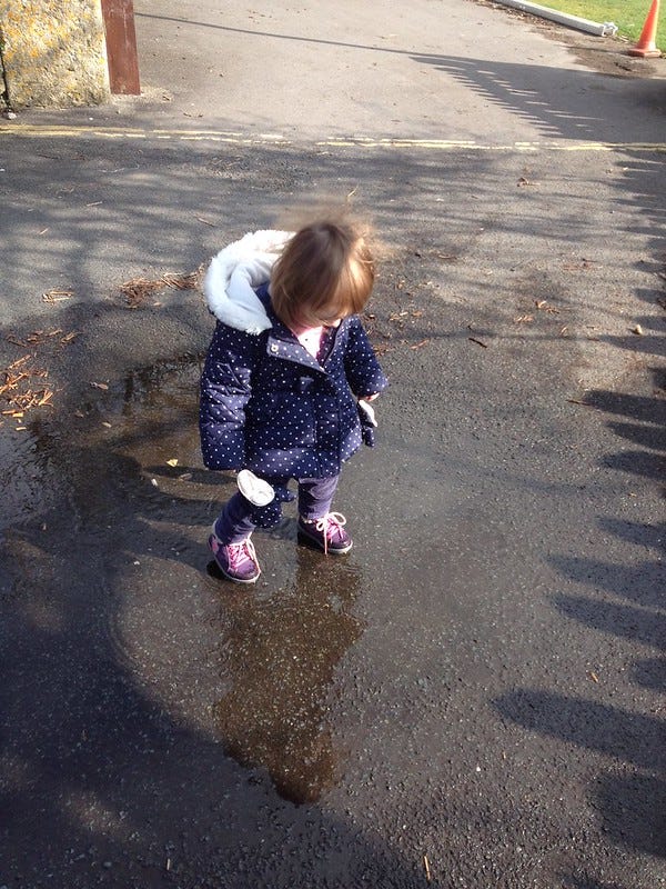 My Niece My Niece