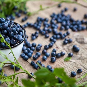 Recipe ~ Mooch Pooch Blueberry Bites